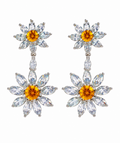 Elegant Earrings for Women